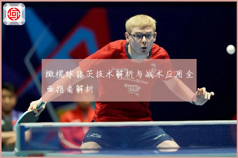 橄榄球赫茨技术解析与战术应用全面指南解析